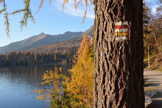Štrbské Pleso